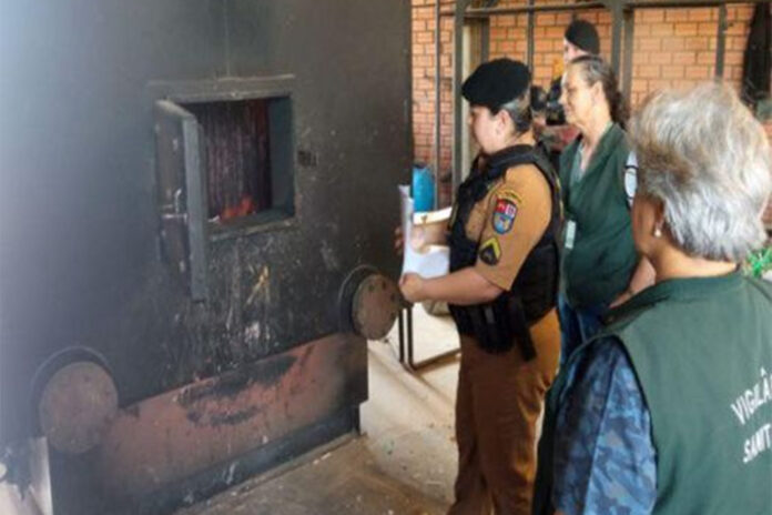 Incineração de entropecentes aconteceu em forno de alta temperatura. Foto - Polícia Militar de Palmeira / Divulgação