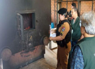 Incineração de entropecentes aconteceu em forno de alta temperatura. Foto - Polícia Militar de Palmeira / Divulgação