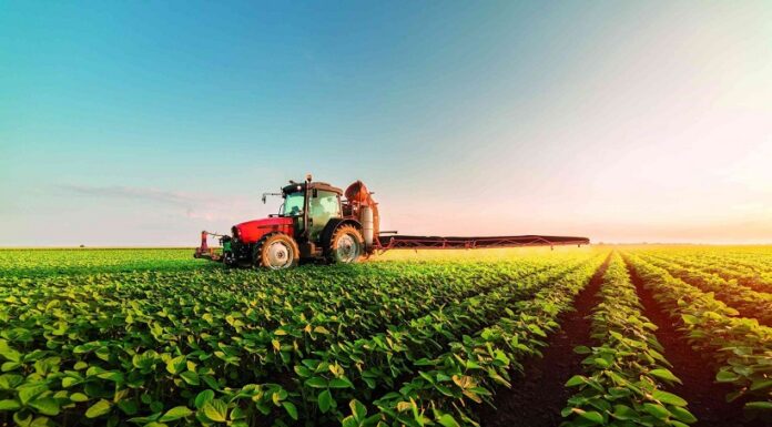 PLANO SAFRA 2026/2027 DESTINA R$ 525 BILHÕES AO AGRONEGÓCIO E AMPLIA CRÉDITO PARA PRODUTORES
