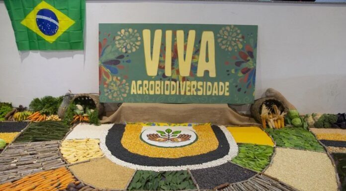 20ª FEIRA REGIONAL DE SEMENTES CRIOULAS E DA AGROBIODIVERSIDADE CELEBRA MAIS DE DUAS DÉCADAS DE TRADIÇÃO E RESISTÊNCIA DA AGRICULTURA FAMILIAR