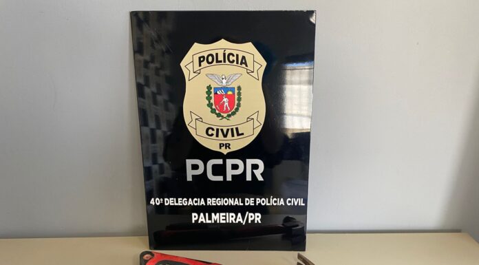 SUSPEITO DE TENTATIVA DE FEMINICÍDIO E ESTUPRO DE VULNERÁVEL É CAPTURADO PELA POLÍCIA CIVIL DE PALMEIRA