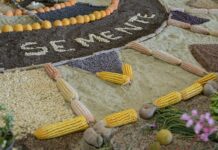 5ª FEIRA DOS QUINTAIS PRODUTIVOS ACONTECE EM AGOSTO NA ENCRUZILHADA