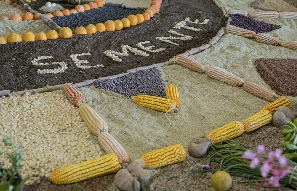 5ª FEIRA DOS QUINTAIS PRODUTIVOS ACONTECE EM AGOSTO NA ENCRUZILHADA