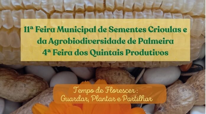 FEIRA DE SEMENTES CRIOULAS E AGROBIODIVERSIDADE VAI COLORIR PALMEIRA NO DIA 13 DE SETEMBRO