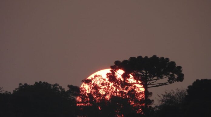 HORÁRIO DE VERÃO CONTINUARÁ FORA DO CALENDÁRIO BRASILEIRO EM 2025