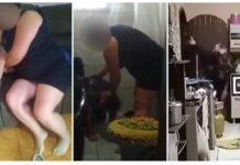 POLÍCIA CIVIL DE PALMEIRA CONCLUI INQUÉRITO SOBRE VIOLÊNCIA CONTRA MENORES E INDICIA SUSPEITA POR LESÃO CORPORAL E MAUS-TRATOS