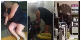 POLÍCIA CIVIL DE PALMEIRA CONCLUI INQUÉRITO SOBRE VIOLÊNCIA CONTRA MENORES E INDICIA SUSPEITA POR LESÃO CORPORAL E MAUS-TRATOS