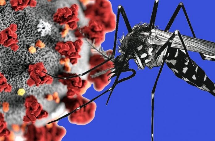 Covid-dengue1b-850x560