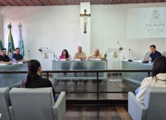 SEM QUÓRUM HOJE, CÂMARA DEVE SUSPENDER VOTAÇÕES; SESSÃO EXTRAORDINÁRIA APROVOU PROJETOS POR UNANIMIDADE