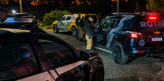 POLÍCIA CIVIL DEFLAGRA OPERAÇÃO PORTO SEGURO EM PALMEIRA