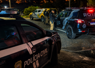 POLÍCIA CIVIL DEFLAGRA OPERAÇÃO PORTO SEGURO EM PALMEIRA