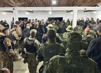 PALMEIRA É ALVO DE OPERAÇÃO DA POLÍCIA CIVIL CONTRA CAÇADORES ILEGAIS E COMÉRCIO CLANDESTINO DE ARMAS DE FOGO