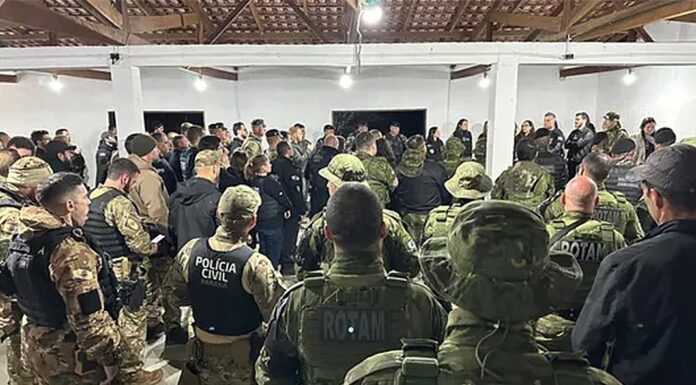 PALMEIRA É ALVO DE OPERAÇÃO DA POLÍCIA CIVIL CONTRA CAÇADORES ILEGAIS E COMÉRCIO CLANDESTINO DE ARMAS DE FOGO