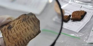 SÍTIOS ARQUEOLÓGICOS REVELAM PRESENÇA INDÍGENA MILENAR EM PALMEIRA
