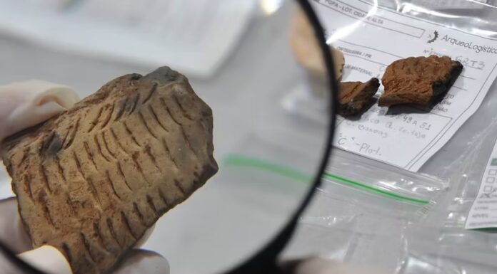 SÍTIOS ARQUEOLÓGICOS REVELAM PRESENÇA INDÍGENA MILENAR EM PALMEIRA