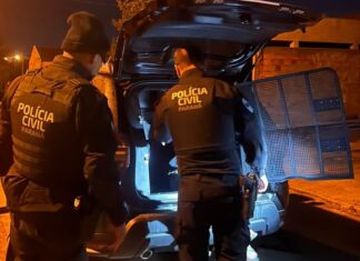 OPERAÇÃO CORTA-FOGO MIRA CRIMES RELACIONADOS A ARMAS DE FOGO EM PALMEIRA