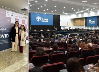 PROCURADORIA DA MULHER BUSCA CAPACITAÇÃO EM FÓRUM PARANAENSE SOBRE VIOLÊNCIA DOMÉSTICA