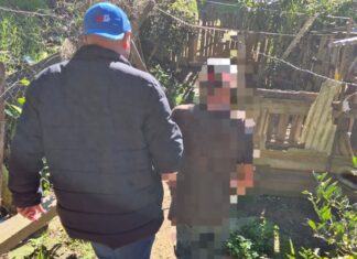 POLÍCIA CIVIL PRENDE HOMEM DE 64 ANOS POR DESCUMPRIMENTO DE MEDIDA PROTETIVA EM PALMEIRA