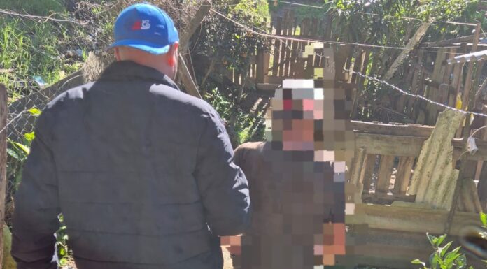 POLÍCIA CIVIL PRENDE HOMEM DE 64 ANOS POR DESCUMPRIMENTO DE MEDIDA PROTETIVA EM PALMEIRA
