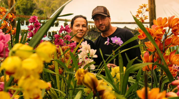 UM MUNDO DE ORQUÍDEAS NO INTERIOR DE PALMEIRA Flávia Wiza Levandoski e Vilmar Bastos. Foto/Waldir Joanassi (Dizi)