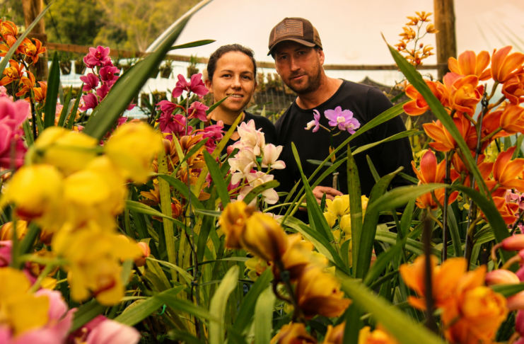UM MUNDO DE ORQUÍDEAS NO INTERIOR DE PALMEIRA Flávia Wiza Levandoski e Vilmar Bastos. Foto/Waldir Joanassi (Dizi)