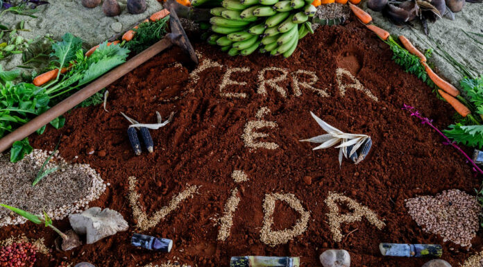 COLETIVO TRIUNFO PROMOVE SEMINÁRIO PARA RECONSTRUIR A MEMÓRIA DA AGRICULTURA FAMILIAR E PENSAR O FUTURO DA REGIÃO