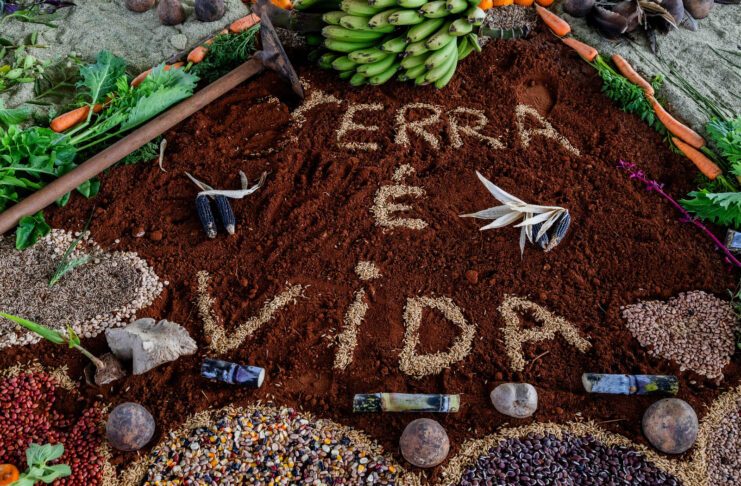COLETIVO TRIUNFO PROMOVE SEMINÁRIO PARA RECONSTRUIR A MEMÓRIA DA AGRICULTURA FAMILIAR E PENSAR O FUTURO DA REGIÃO