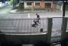 POLÍCIA CIVIL DO PARANÁ CUMPRE MANDADO DE PRISÃO PREVENTIVA EM PALMEIRA