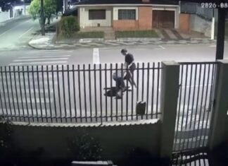 POLÍCIA CIVIL DO PARANÁ CUMPRE MANDADO DE PRISÃO PREVENTIVA EM PALMEIRA