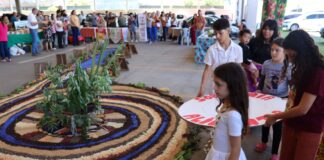 12ª FEIRA DE SEMENTES CRIOULAS REÚNE AGRICULTORES E VALORIZA AGROBIODIVERSIDADE EM PALMEIRA