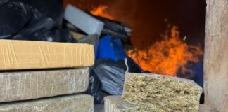 POLÍCIA CIVIL DE PALMEIRA DESTRÓI MAIS DE 1.400 QUILOS DE DROGAS