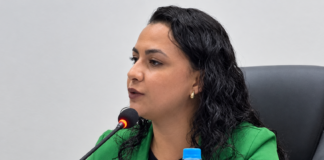 VEREADORA CLASSIFICA RETIRADA DE PROJETO SOBRE ESCOLHA DE DIRETORES COMO VITÓRIA DA EDUCAÇÃO
